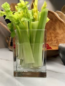 Creative Play Celery